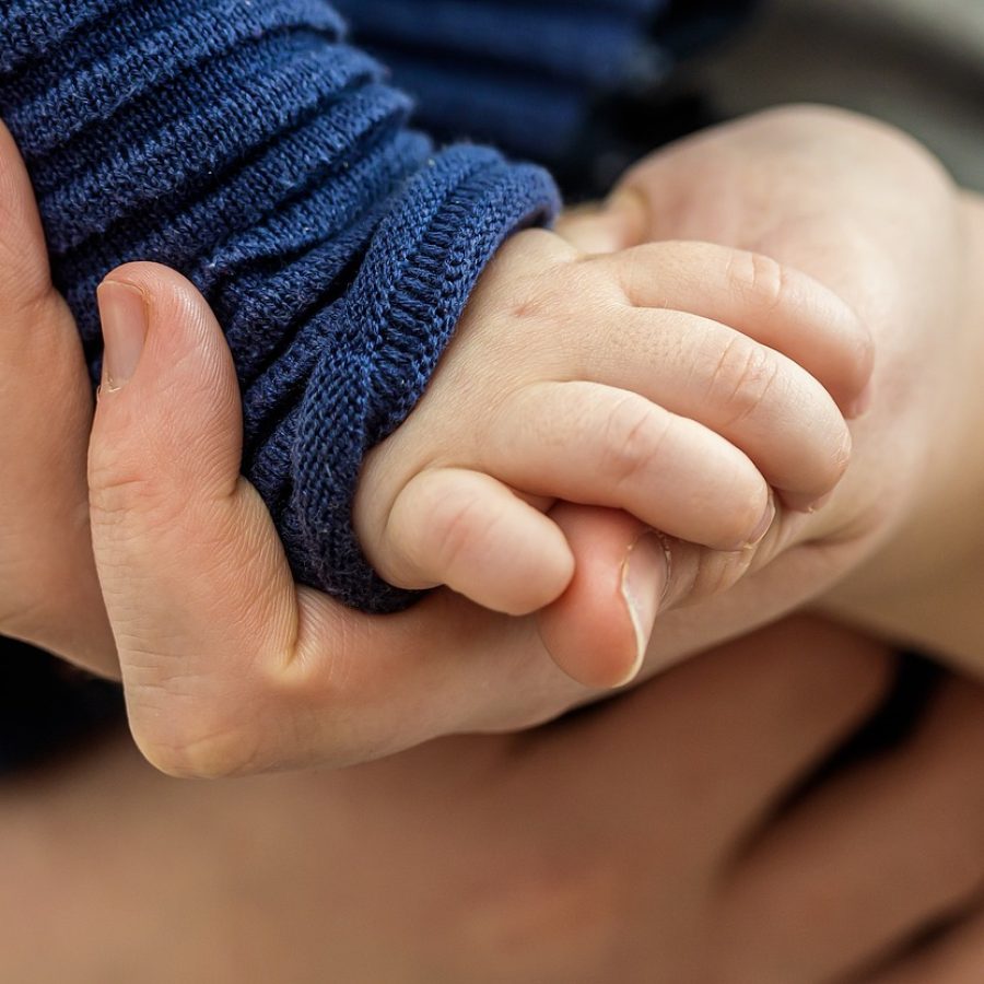 toddler-hand-4867454_1280 toddler-hand-4867454_1280